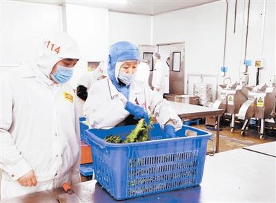 天津確保校園食品安全 監管先行，教育軟件賦能